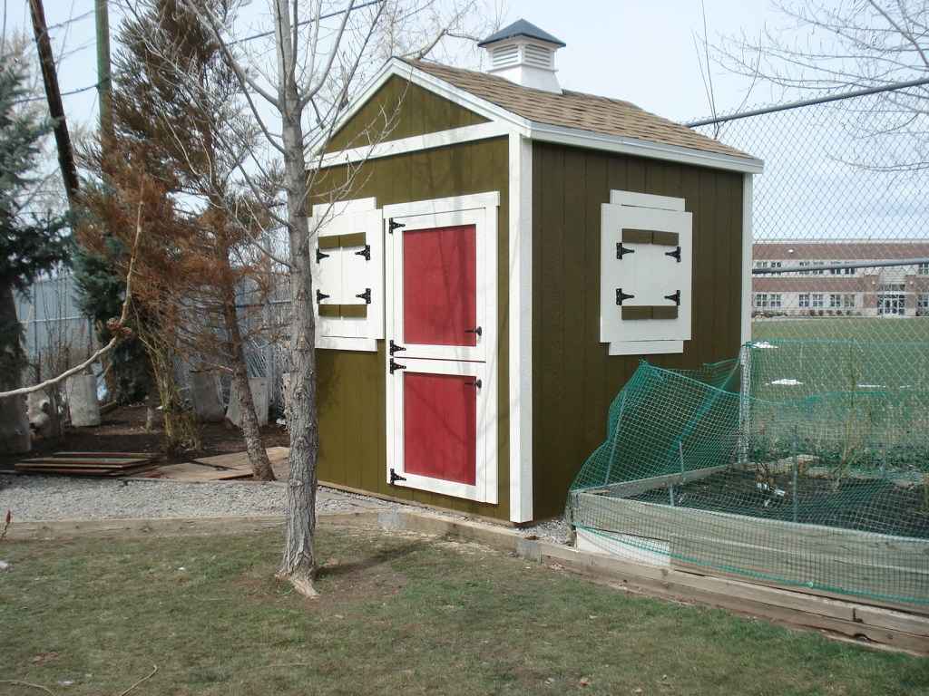 Custom chicken coop with green siding, red Dutch door, white trim, vented shutters, cupola roof, beside garden fence and trees