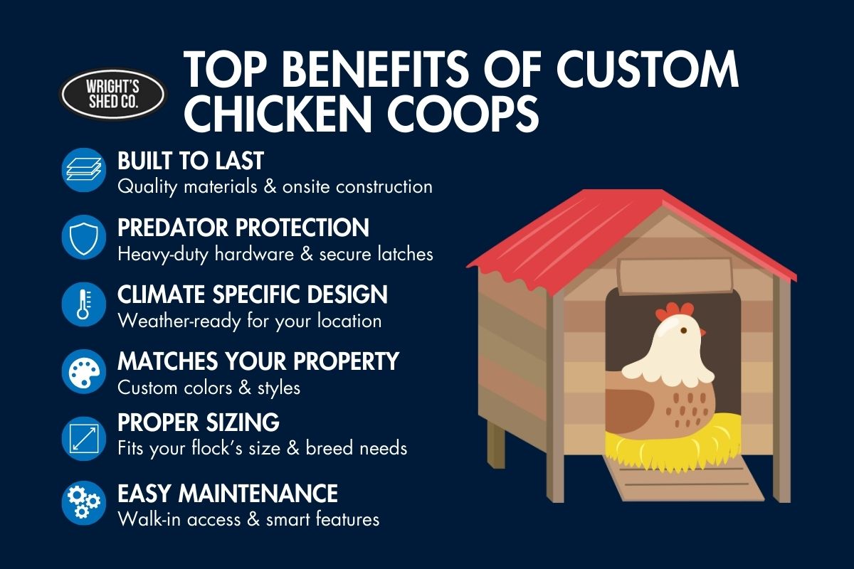 Infographic on benefits of a custom chicken coop: built to last, predator-safe, climate-ready, easy maintenance