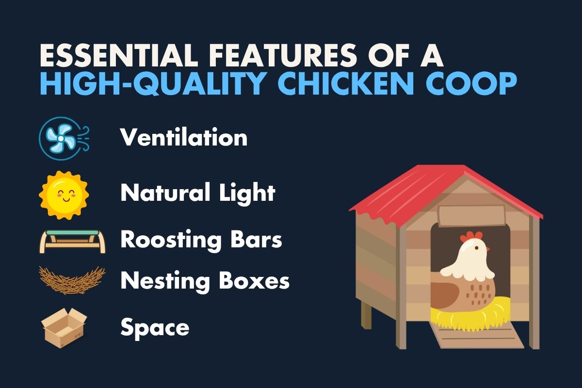 Checklist graphic showing top chicken coop enclosure features like ventilation, space, and nesting boxes for a high-quality chicken coop.