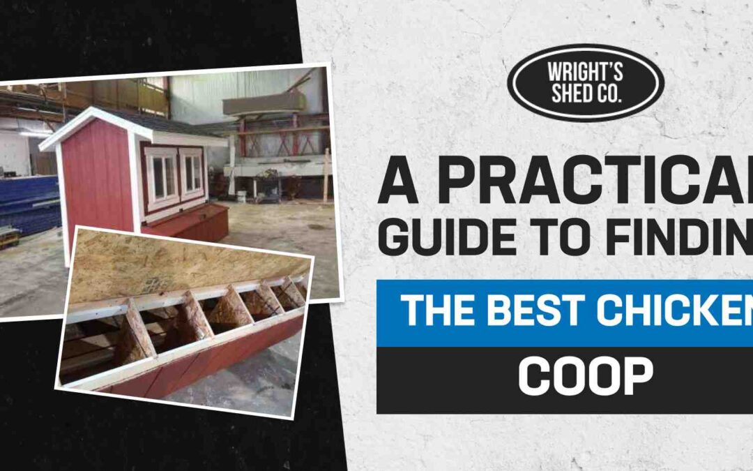 A Practical Guide to Finding the Best Chicken Coops