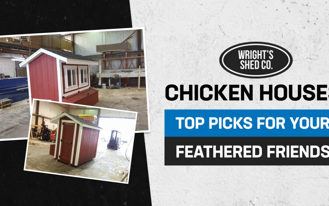 Chicken Houses: Top Picks for Your Feathered Friends