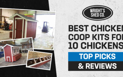 Best Chicken Coop Kits for 10 Chickens: Top Picks & Reviews