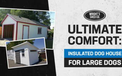 Ultimate Comfort: Insulated Dog House for Large Dogs