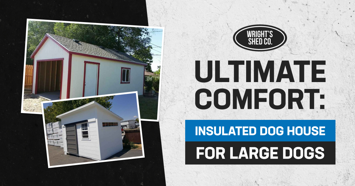 insulated dog house for large dogs