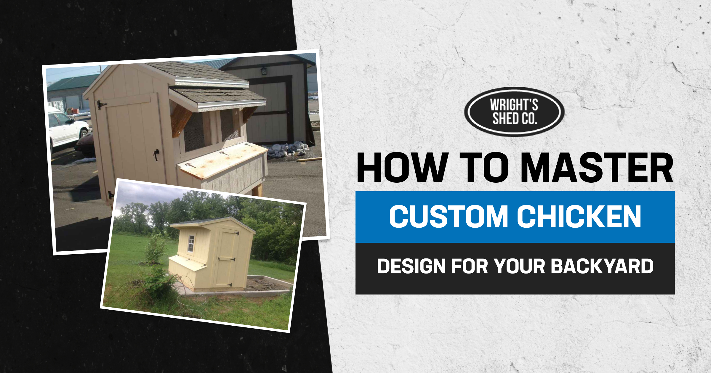 Two custom chicken coop design examples beside backyard shed structures showing compact layouts, storage features, and outdoor placement.