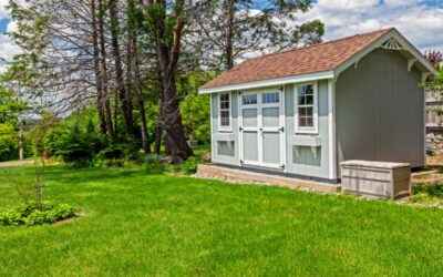 The Shed: A Versatile Outbuilding for Your Property