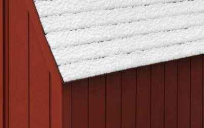 Shed Roof Designs: Easy Tips and Tools