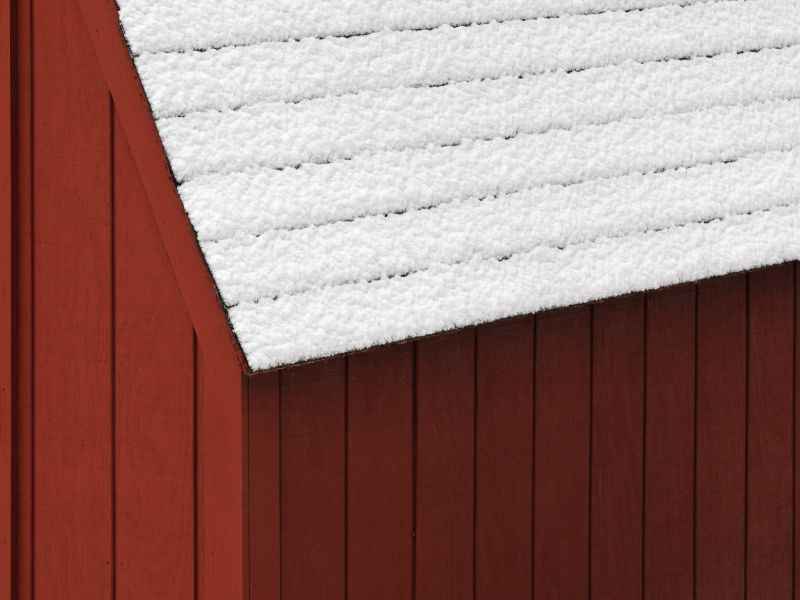 Shed Roof Designs: Easy Tips and Tools