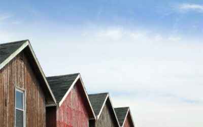 Shed Styles: Exploring Unique and Versatile Options