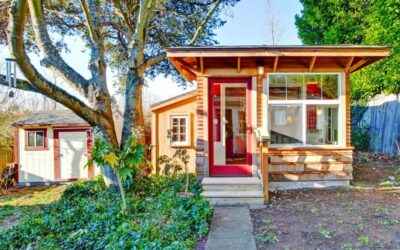 Discover Unique Themed Shed Designs for Your Space