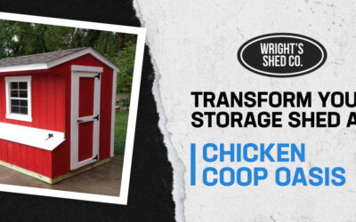 Transform Your Storage Shed as Chicken Coop Oasis