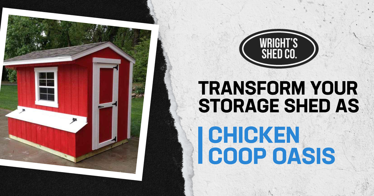 storage shed as chicken coop