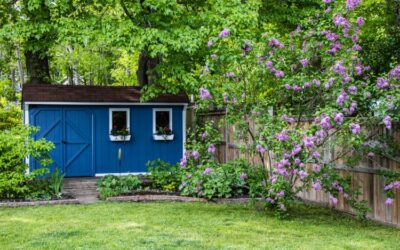 Don’t Settle for Basic: Unleash Your Shed Vision