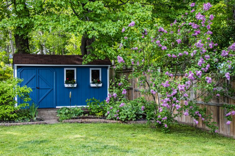 Don’t Settle for Basic: Unleash Your Shed Vision