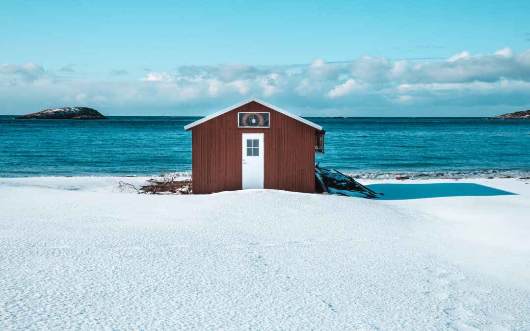 brown and white wooden she shed