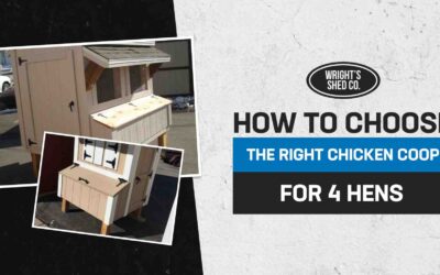 How to Choose the Right Chicken Coop for 4 Hens