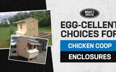 Egg-cellent Choices for Chicken Coop Enclosures