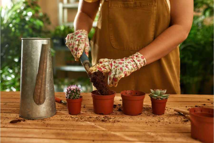 person putting soil on pots