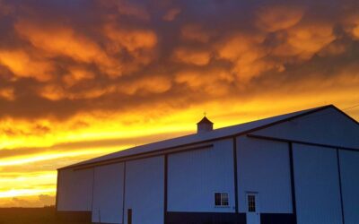 5 Tips for Maintaining Your Utah Shed
